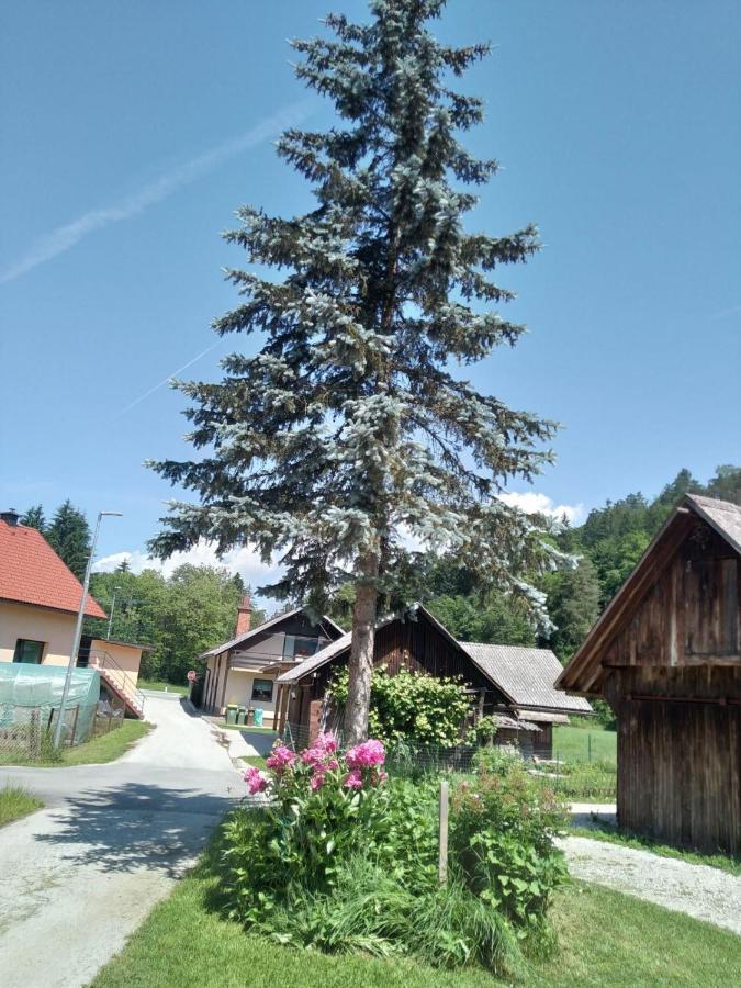 Villa Hiska Zeleni Raj Podnart Exterior foto